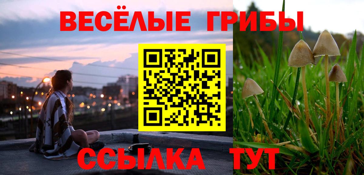 Галлюциногенные грибы Cubensis Гусев