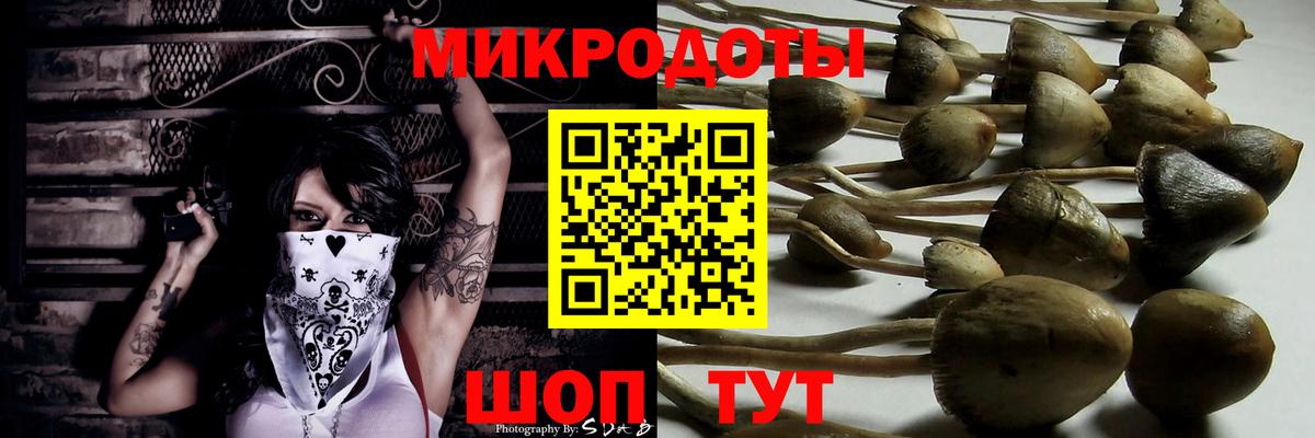 Гусев  Галлюциногенные грибы Cubensis  Вход с VPN 